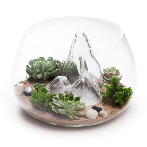 TERRARIUM