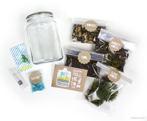 TERRARIUM KIT 3