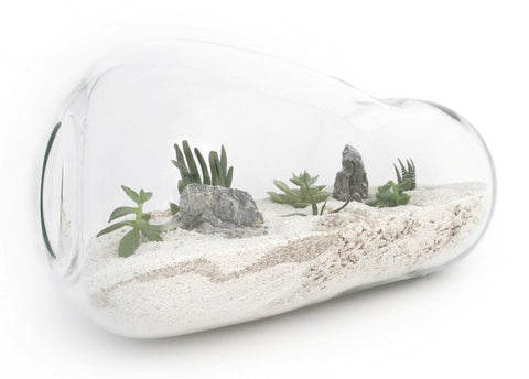 TERRARIUM DESERT