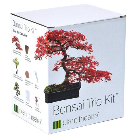 BONSAI KIT 3