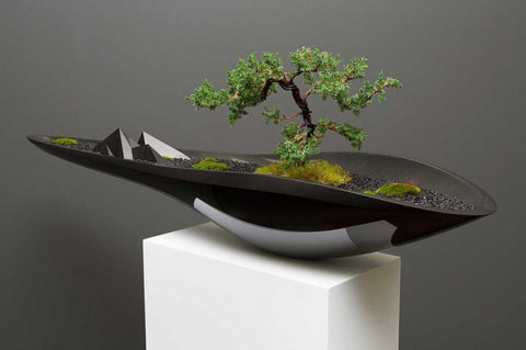 BONSAI SMALL