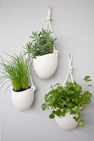 HANGING PLANTER