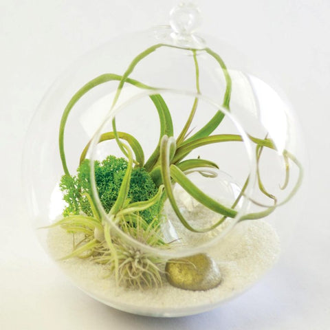 TERRRARIUM