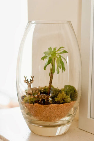 TERRARIUM SMALL