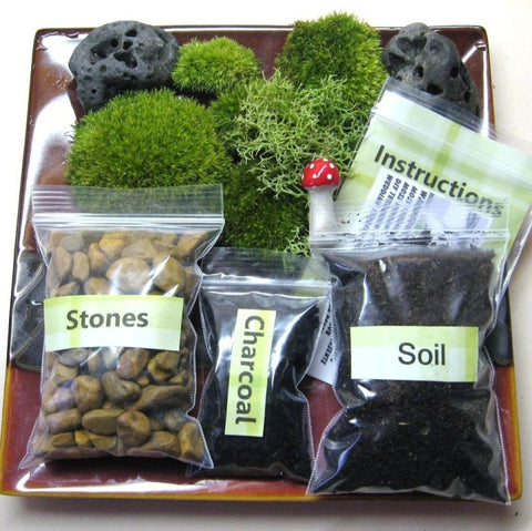 TERRARIUM KIT 1